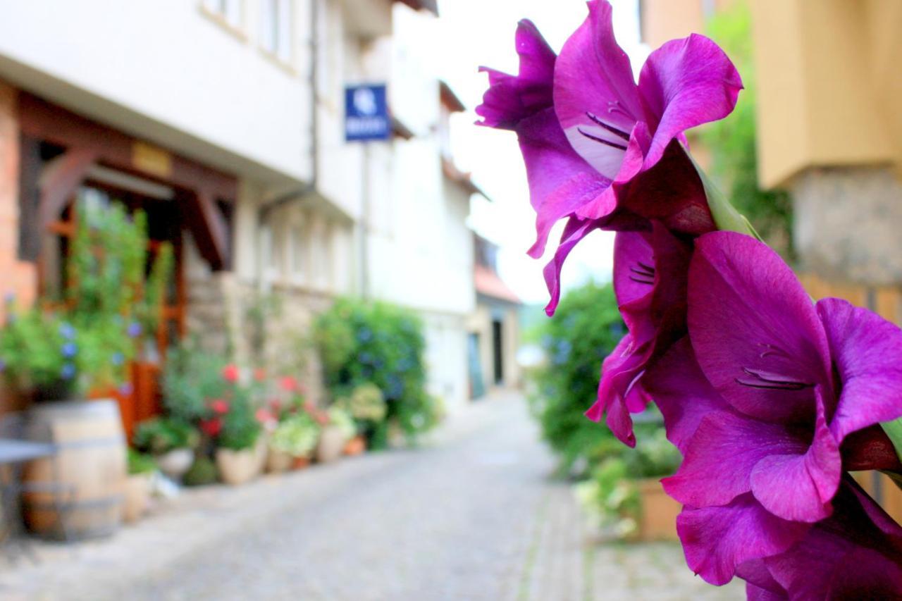 D & S Hotel & Ferienwohnungen Besigheim Εξωτερικό φωτογραφία