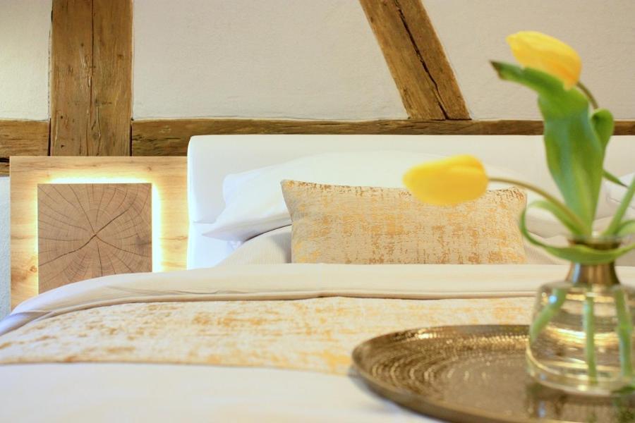 D & S Hotel & Ferienwohnungen Besigheim Εξωτερικό φωτογραφία