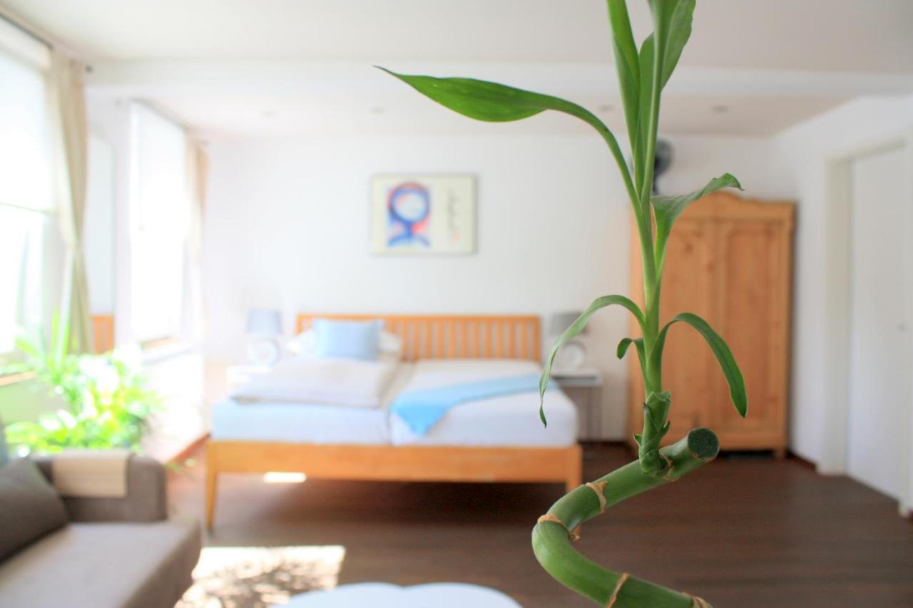 D & S Hotel & Ferienwohnungen Besigheim Εξωτερικό φωτογραφία